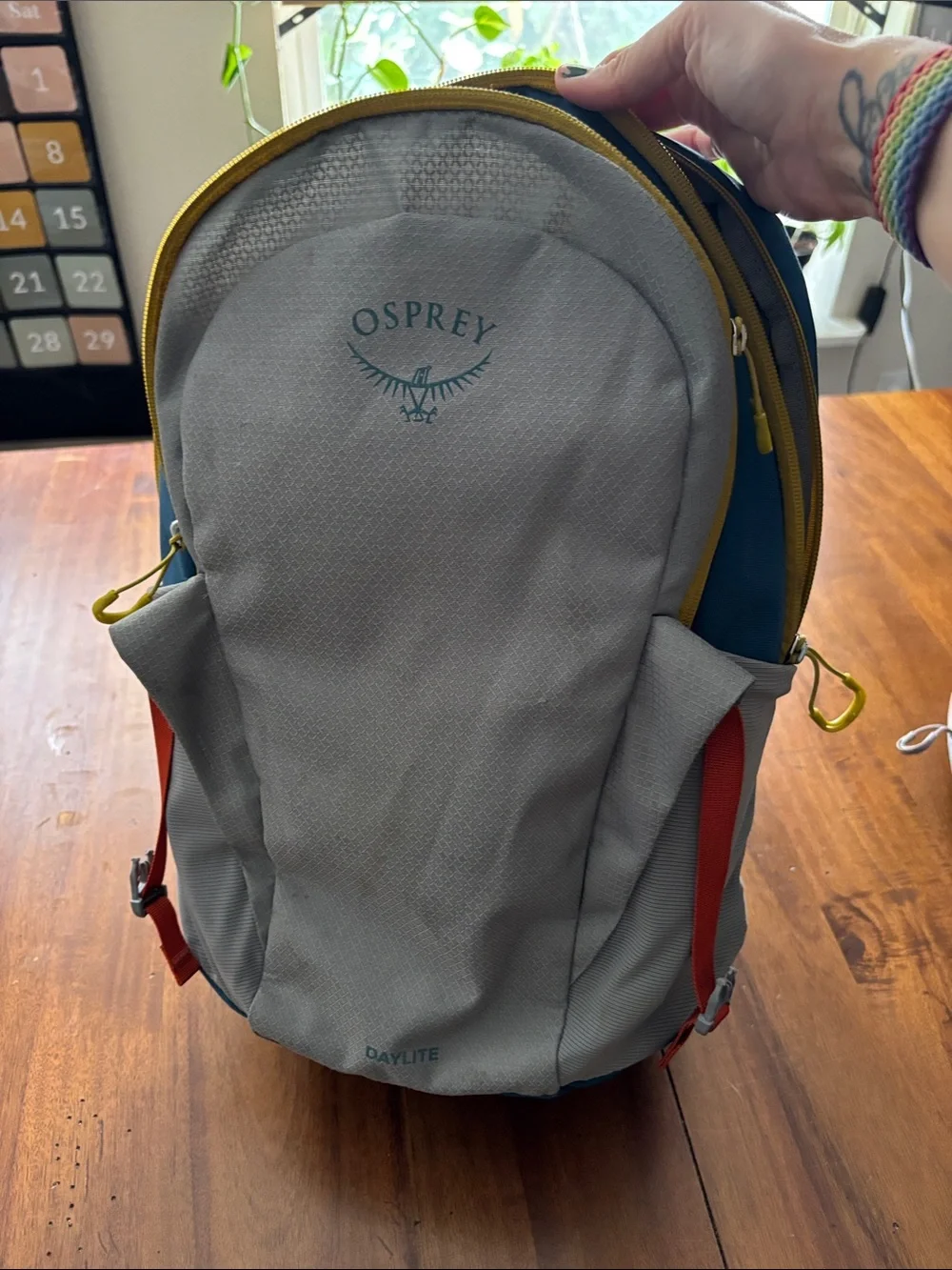 OSPREY Daylite Backpack in Gray, Blue & Orange Trim